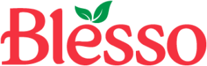 blesso-logo